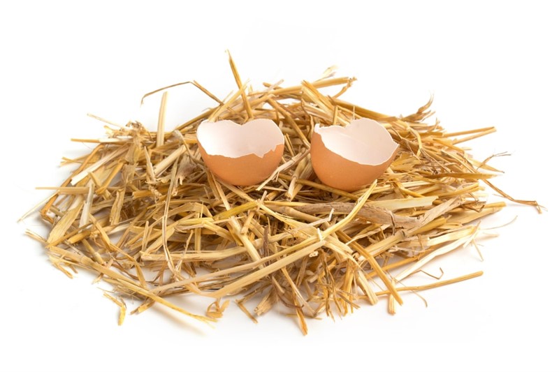 Dont count your chickens before they hatch, Yumurtlamadan önce, tavuklarını sayma. İngilizce atasözü ve Türkçe karşılığı