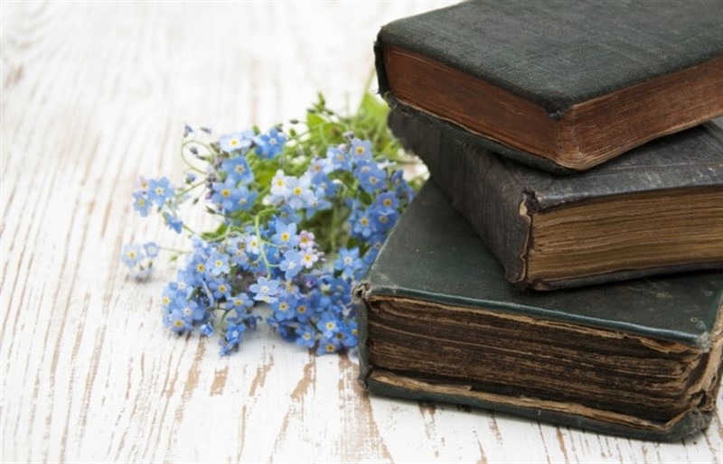 Dont judge a book by its cover, kitabı kapağına göre yargılama. İngilizce atasözü ve Türkçe karşılığı