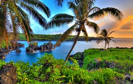 Honolulu, HI  dil okullarını görüntülemek için tıklayın.