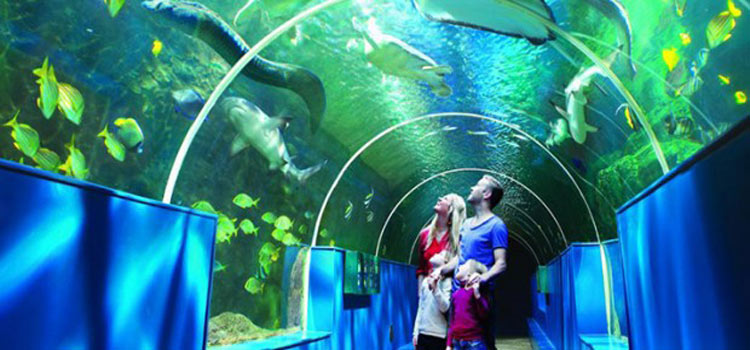 Bournemouth aquarium