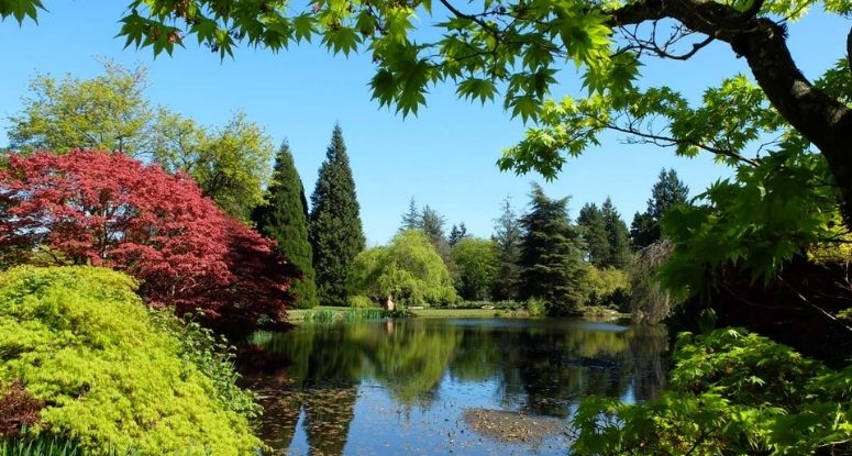 kanada-sehirleri-van-dusen-botanical-garden