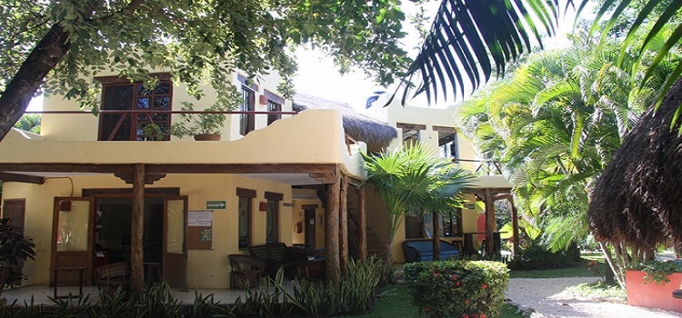 International House - Playa Del Carmen-2