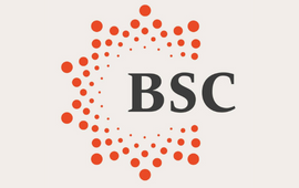 British Study Centres logo