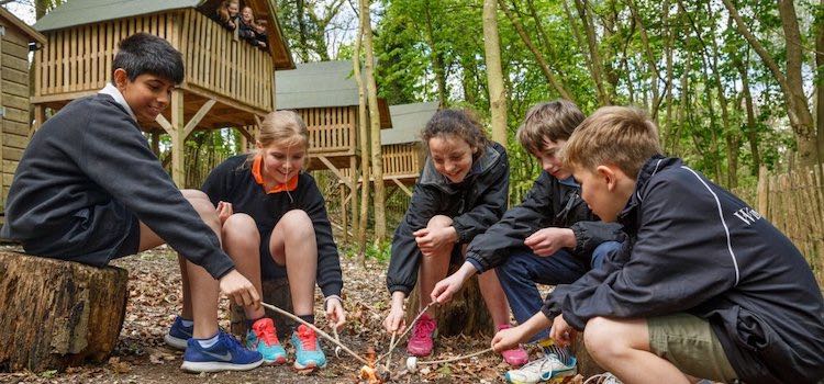 Windlesham House School İngiltere Yaz Okulu