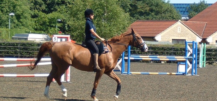 millfield school somerset