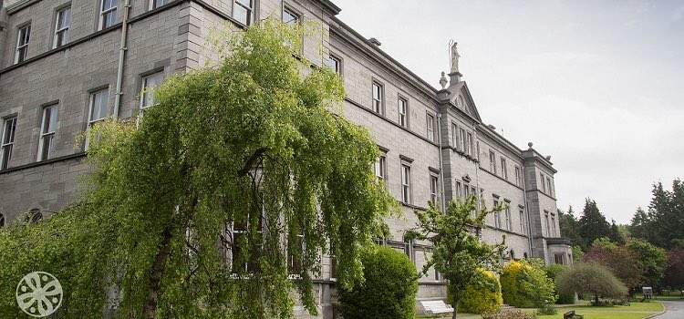 Dublin Yaz Kampı