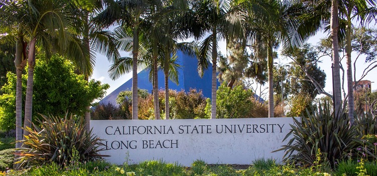 california state university long beach dil okulu