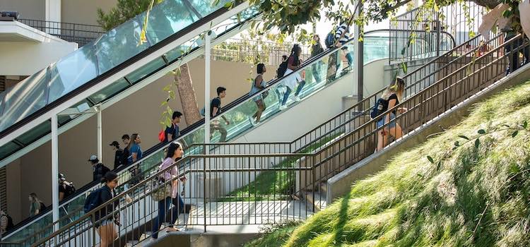 california state university long beach ali