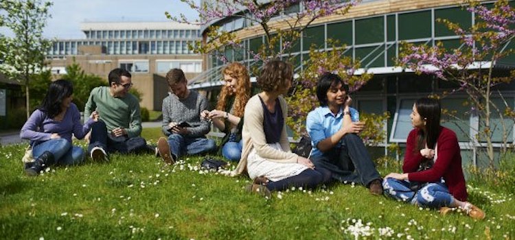 University of York İngiltere Üniversite