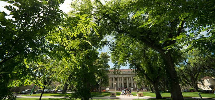 Colorado State University Fort Collins 