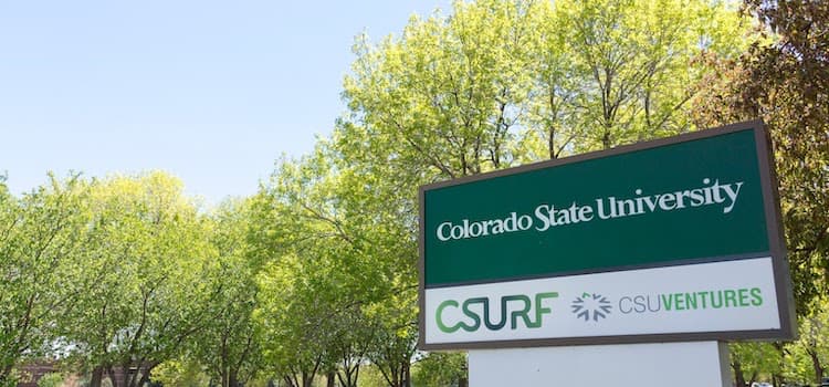 Colorado State University Fort Collins Üniversite