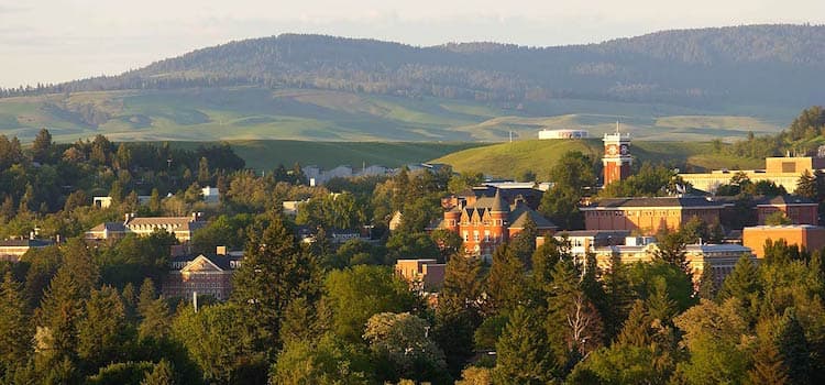 Washington State University