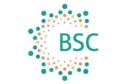 Manchester City Football School - BSC logo