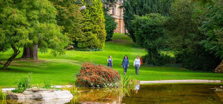 Westonbirt Summer School Cheltenham Yaz Okulları