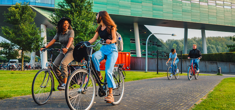 University of Groningen Hollanda Üniversite