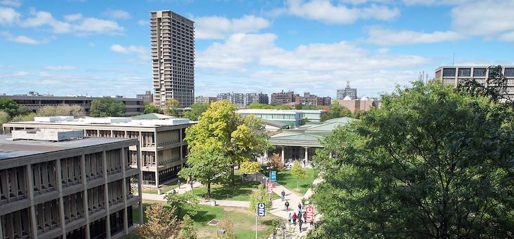 University of Illinois Chicago Üniversite