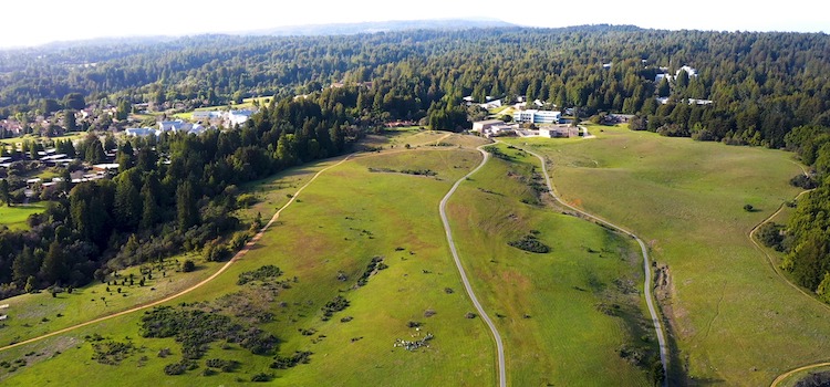 University of California Santa Cruz