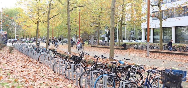 Hollanda Üniversiteleri