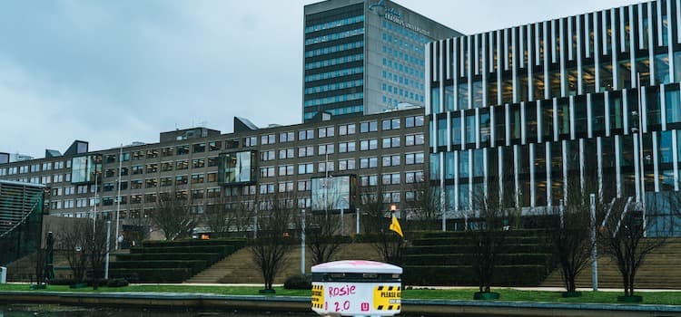 Rotterdam Üniversite