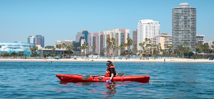 California State University Long Beach Amerika Üniversite