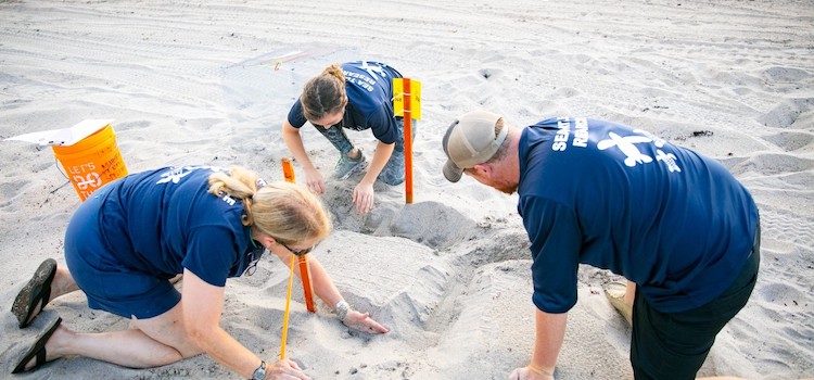 Florida Atlantic University Florida