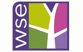 WSE Summer School logo