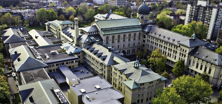 dawson college montreal yaz okulu