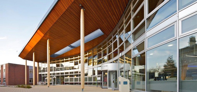 university of chichester ingiltere
