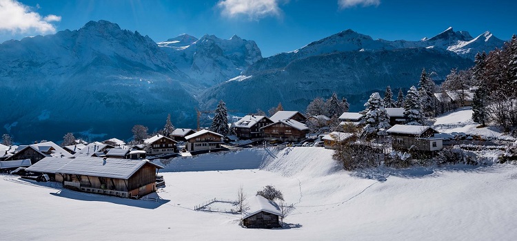 ecole d'humanite switzerland