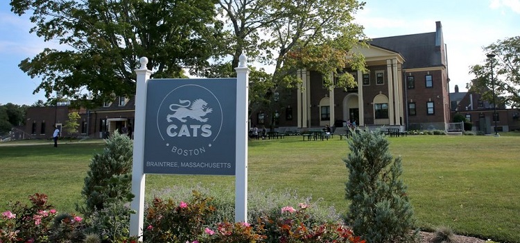 cats college boston