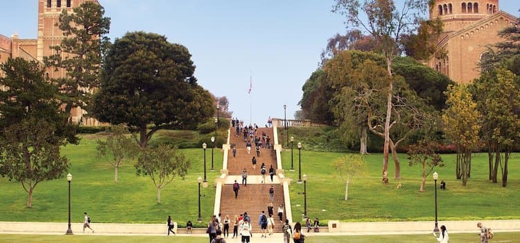 UCLA - University of California Los Angeles Amerika sertifika programı