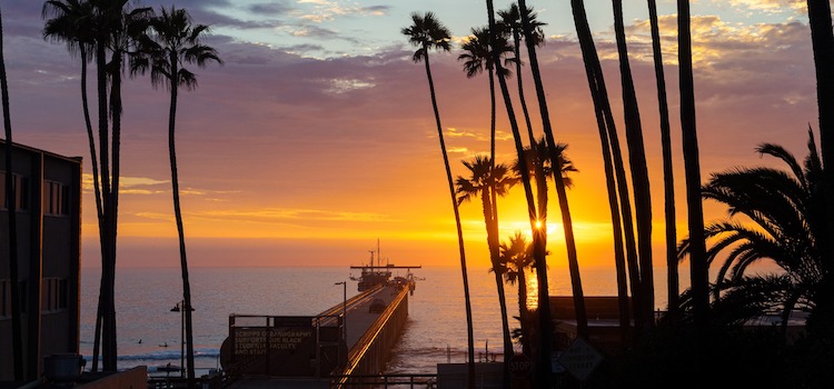 UCSD - University of California San Diego 