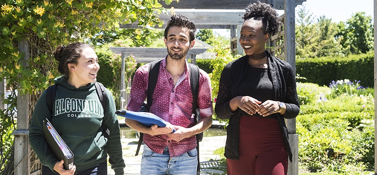 algonquin college kanada üniversite eğitimi