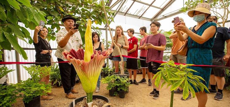 University of California Riverside Amerika sertifika programı