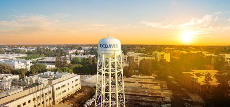 University of California Davis