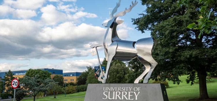 surrey university