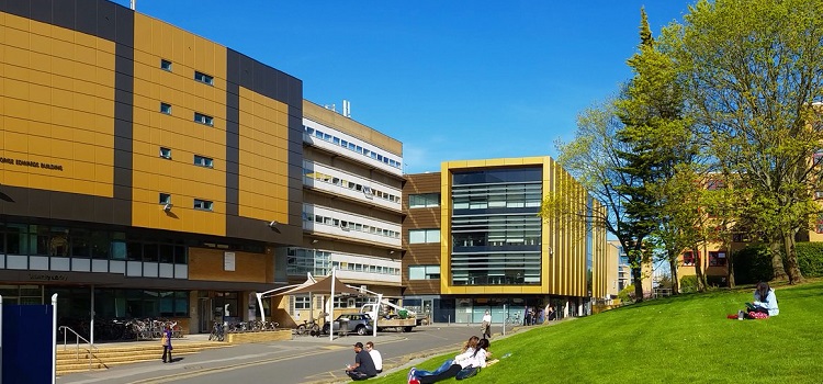 surrey üniversitesi